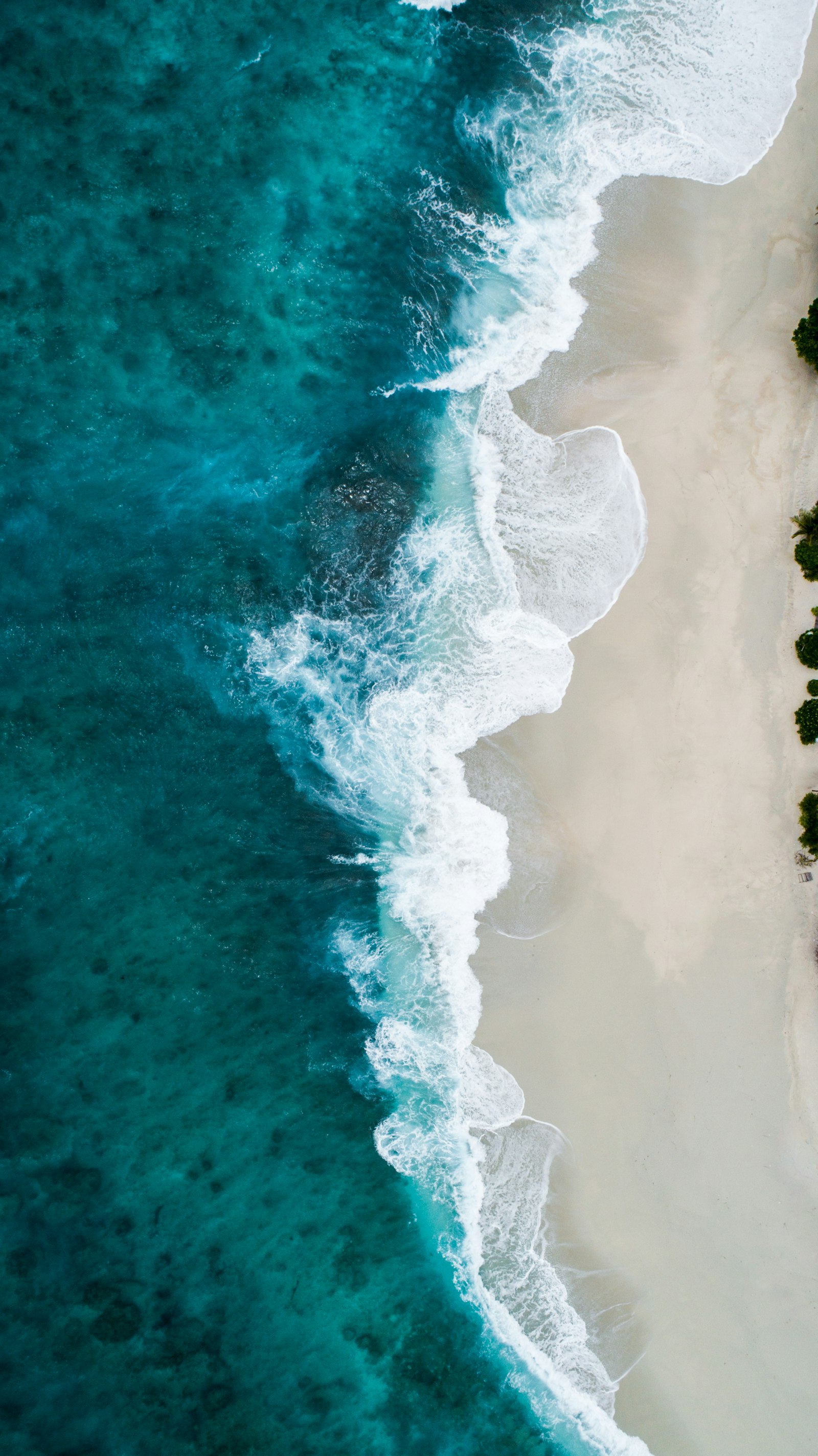 Oceano Atlântico aberto, futuro da eólica flutuante